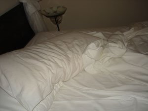 [mi+camaDSC08566.jpg]