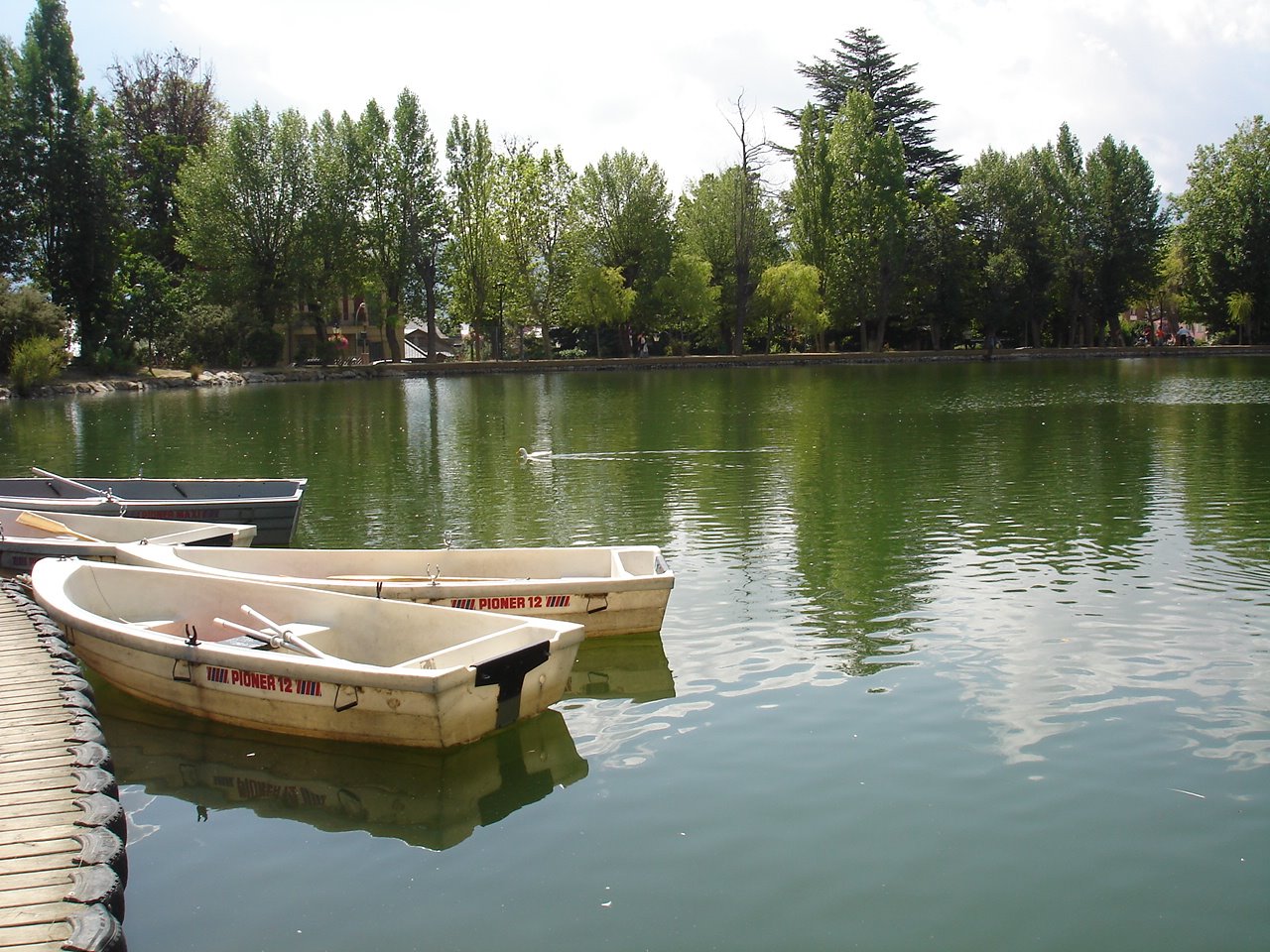 [DSC00460.JPG]
