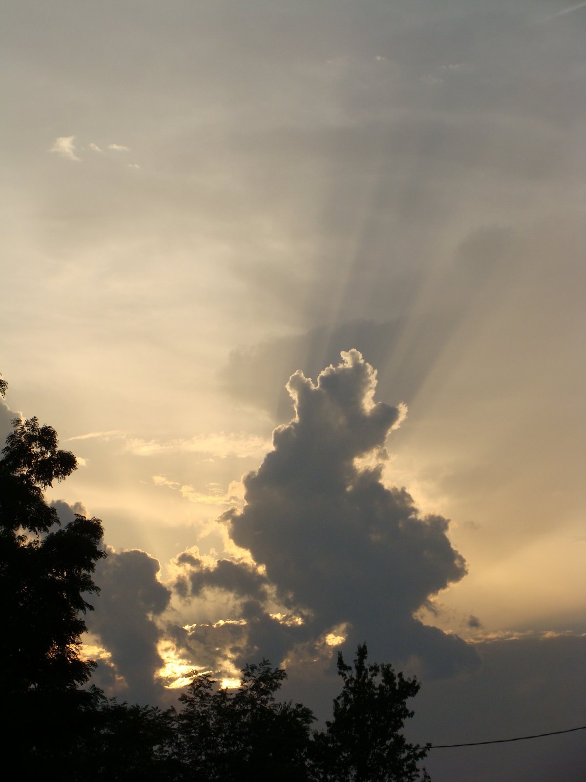 [DSC00148.JPG]