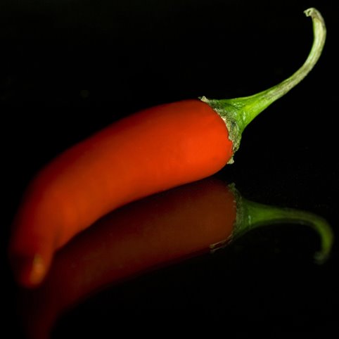 [peperoncino.jpg]