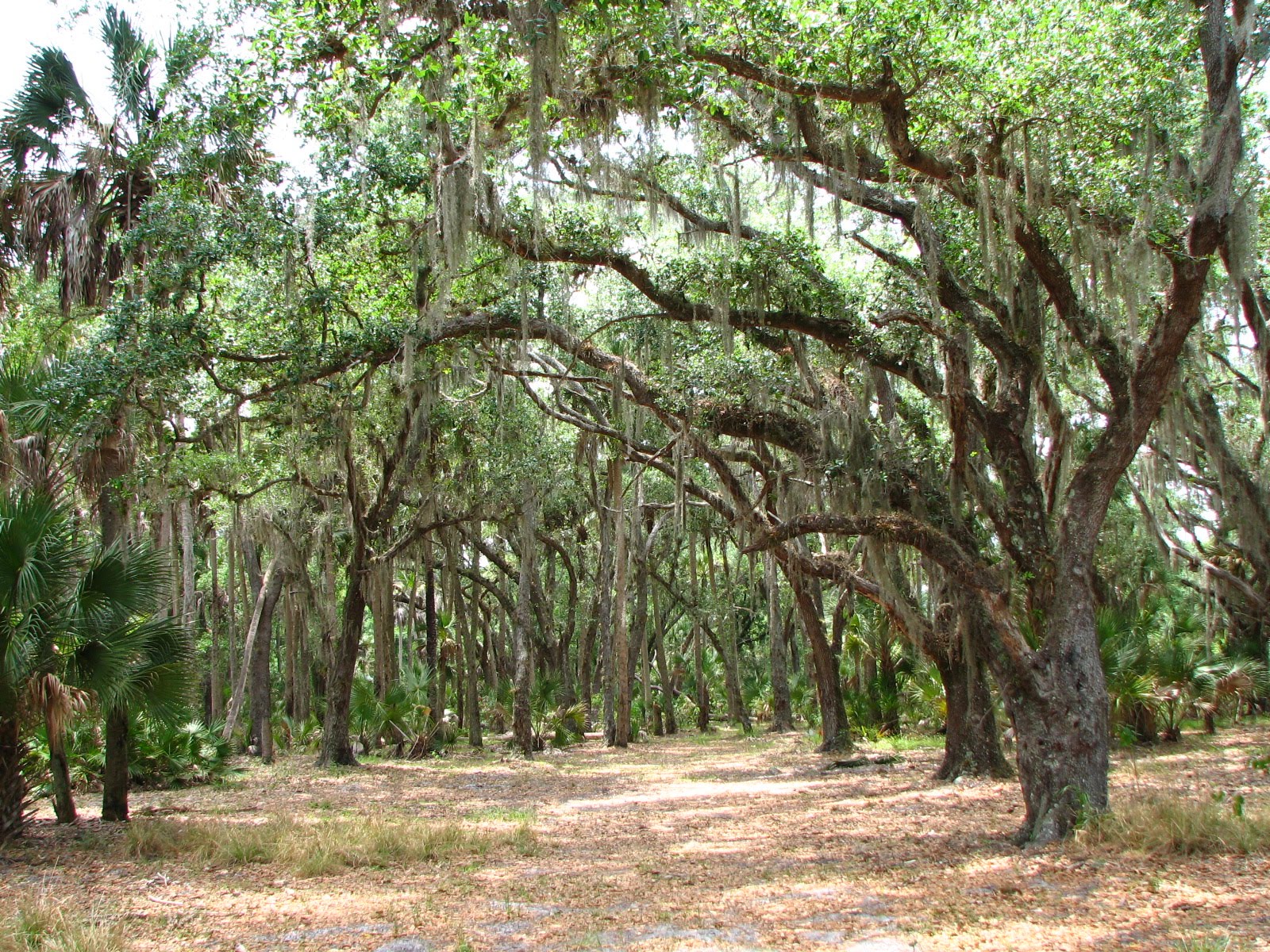 [2008_0521_135431.JPG]