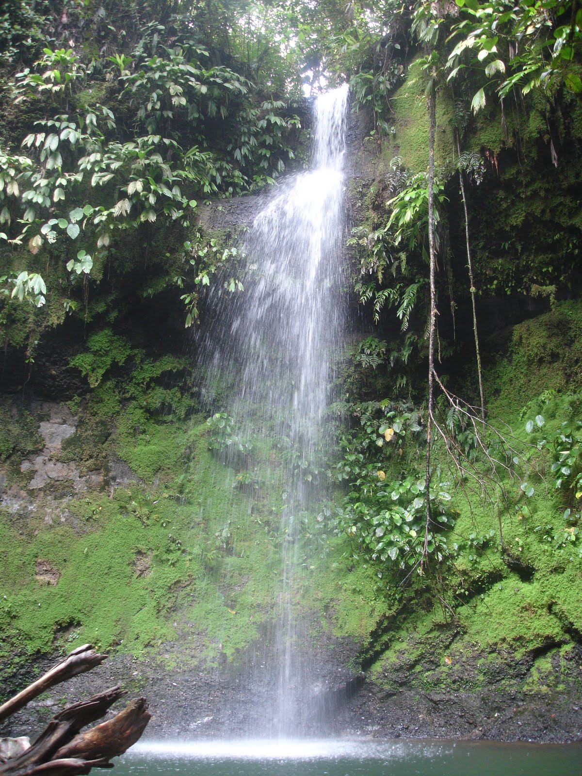 [DSC02169.JPG]