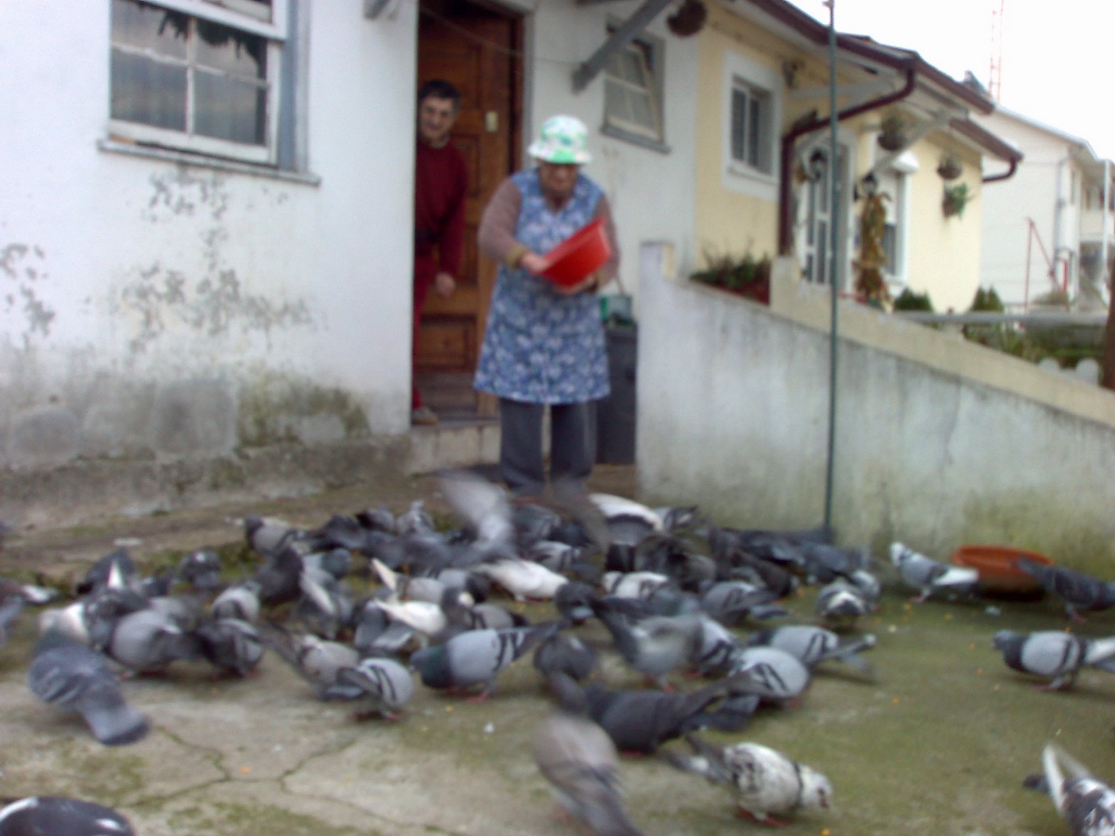 [05022008110.jpg]