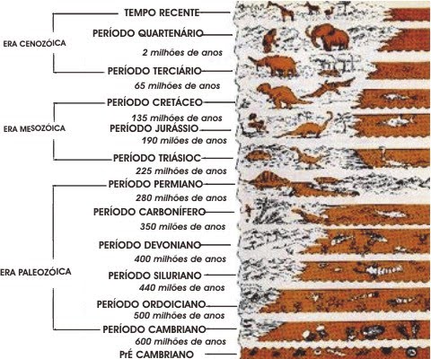 Professora Diana - Ciências: 6º serie C