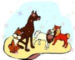 [dogs-1+(Sparkle).JPG]