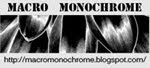 "Macro Monochrome."