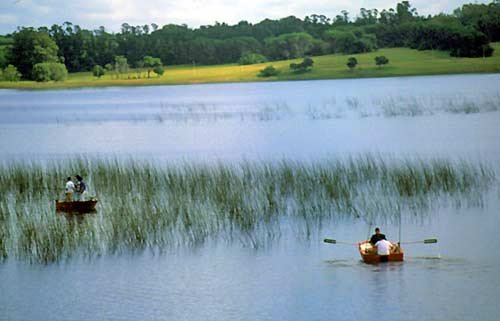 [chascomus+normal+-+Pezcalandia.bmp]