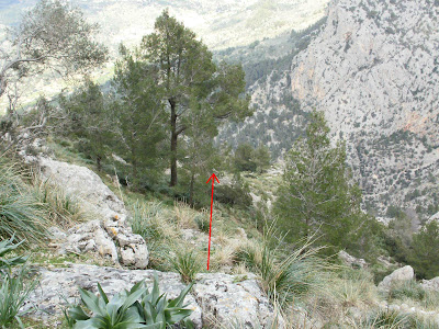 Mis días de montaña: Cornisa des Cornadors