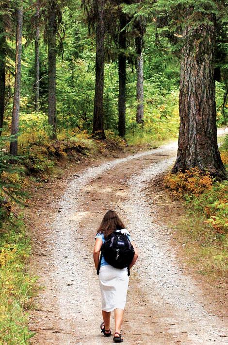 [road_less_traveled.jpg]