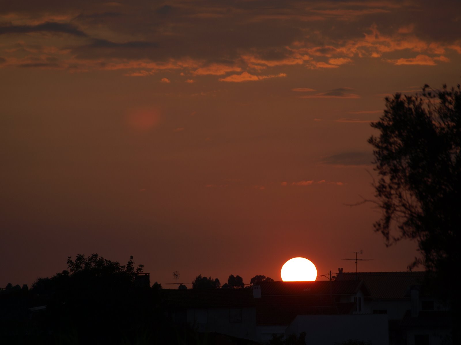 [P9244793.JPG]