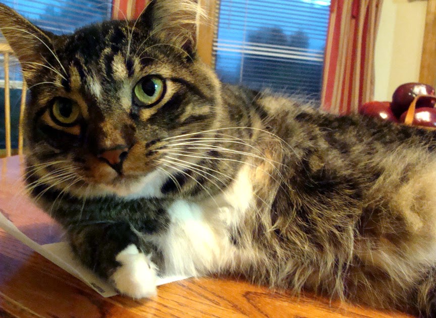 Beginning Photography Final Center of Interest