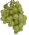 [grape+heart]