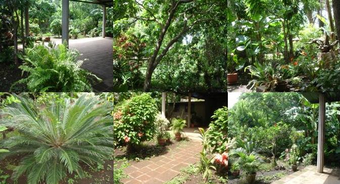 EN UN AMBIENTE CAMPESTRE EN ARMONÍA CON LA NATURALEZA