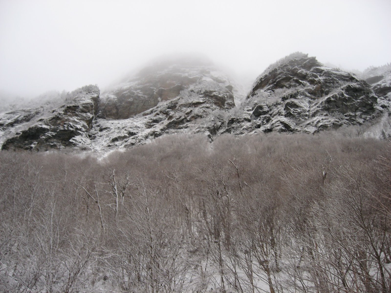 [Winter08+005.jpg]