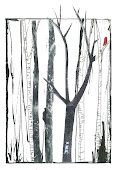 birch trees in winter 1