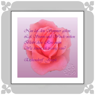 Saras Moondream 2008