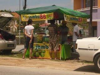 Jambu 88