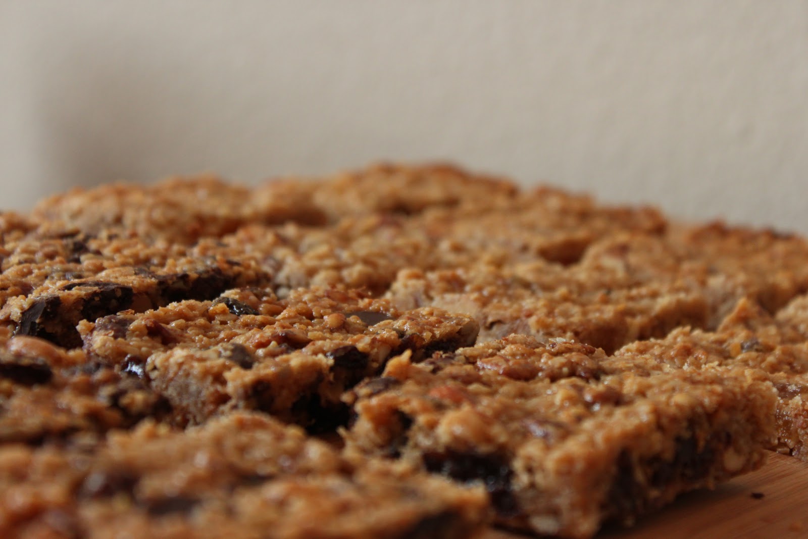 Squirrel Bakes Chewy Granola Bars