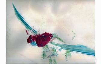 [untitled.bmp]