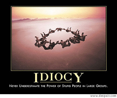 Idiocy+Demotivator.jpg