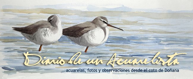 Diario de un acuarelista