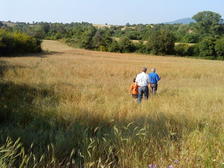 ΑΝΑΒΡΥΤΟ ΚΙΛΚΙΣ