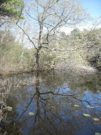 Wellfleet Audubon Santuary