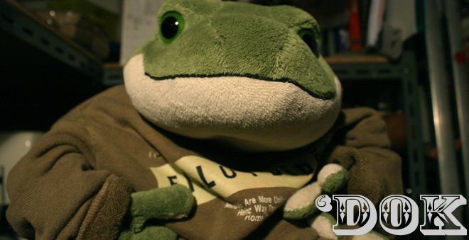 This Frog's Blog
