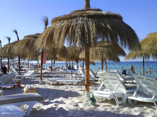 [port-el-kantaoui.jpg]