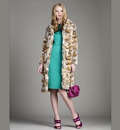 [gal_1247561307.jpg]