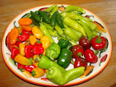 Variety of Peppers
