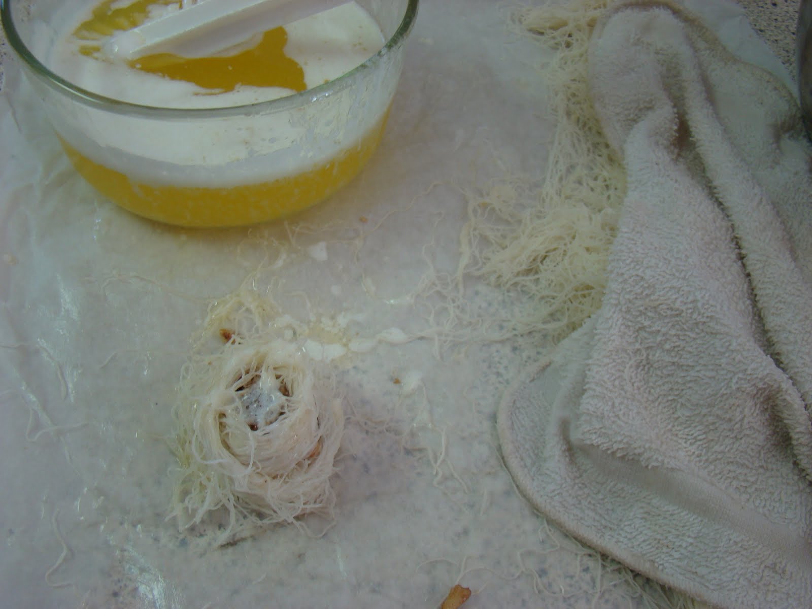 My Favorite Recipes Collection Greek /Mediterranean Kataifi Bird Nests