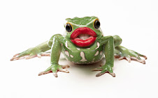 Kiss This Frog and Turn Into Prince!