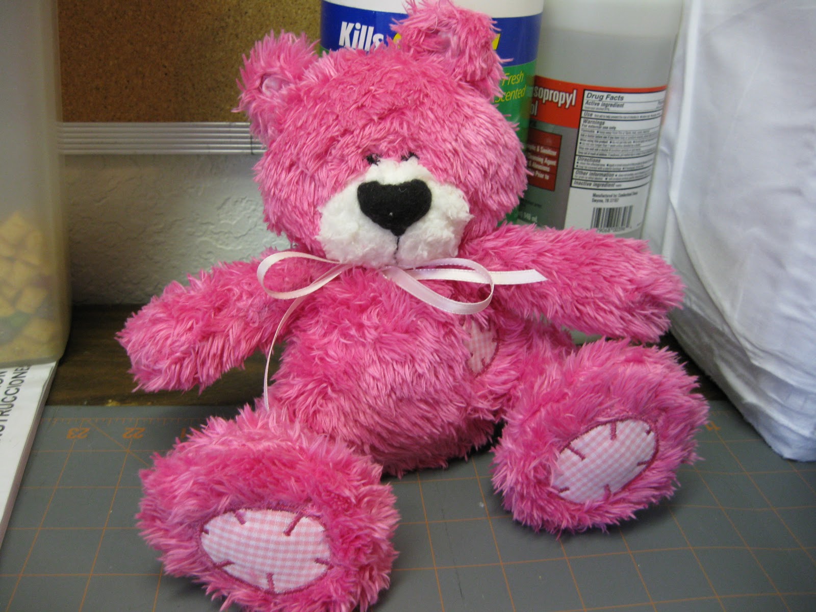 What&rsquo;s in My Hoop: For the love of animals