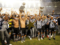CAMPEONATO CARIOCA / 2O1O - Botafogo brilha nos dois turnos e é campeão