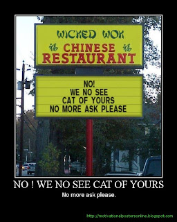 MOTIVATIONAL POSTERS: NO! WE NO SEE CAT OF YOURS