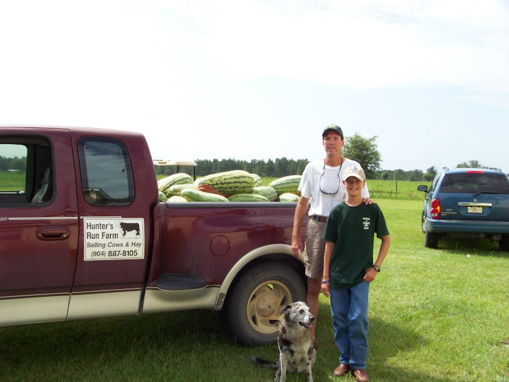 Watermelons  2008