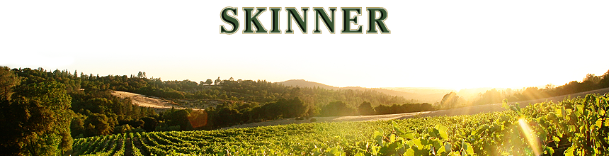 Skinner Vineyards