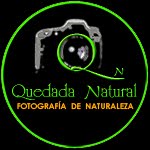 Quedada Natural