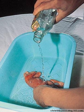 [http_imgload.cgi7.jpeg]