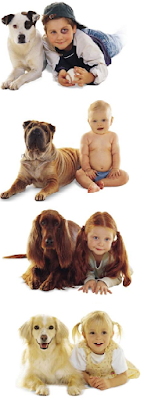 Responsible Dog Ownership And Canine Health Talk