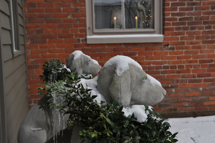 OUR BACK DOOR GUARD DOGS WITH THEIR HOLIDAY COLLARS ON