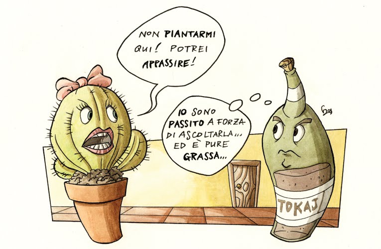 [appassito_vino_campaniachevai.jpg]