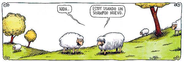 [119555281_7d2f5f0aa3_o.jpg]