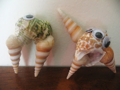 California Shells