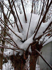 Gartenarbeit Ideen January 2010