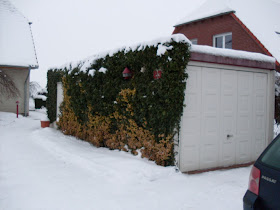 Gartenarbeit Ideen January 2010