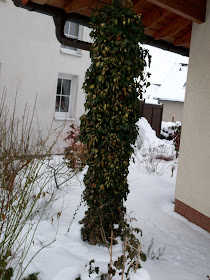 Gartenarbeit Ideen January 2010