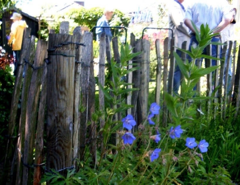 Gartenarbeit Ideen Flexibler Zaun aus Holzbrettern / Ästen und Draht