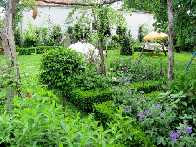 Gartenanders Handheckenschere oder elektrische